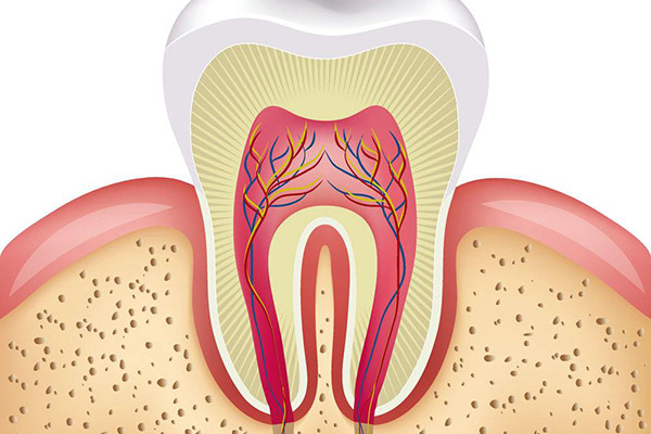 拔牙伤到神经了还能恢复吗_拔牙伤到神经了还能恢复吗吃什么药
