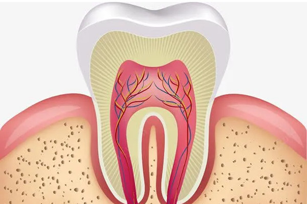 口腔牙齿怎么记录_口腔牙齿怎么记录病历